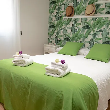 Zenete Terral Malaga